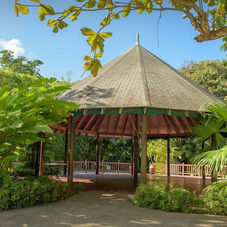 Tropical Escape Villa Очо-Ріос Екстер'єр фото